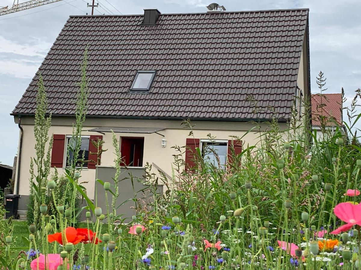 Ferienhaus Bei Lauingen, Mit Sauna Und Gartenlounge Veitriedhausen Exterior photo
